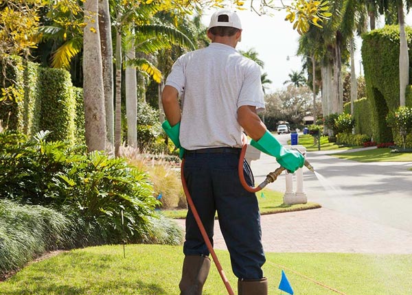 About Piney Creek NC Pest Control